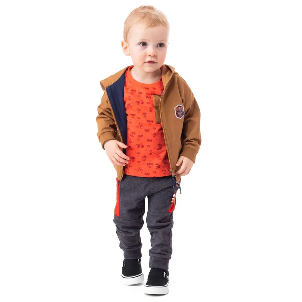 Dinosaurs Zip Hoodie 6-24m