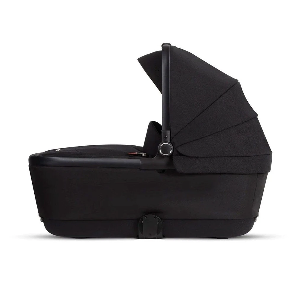 Reef Bassinet - Orbit