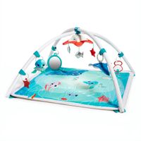 Treasure the Ocean™ 2-in-1 Musical Mobile Gymini