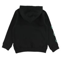 Iconic Stone Hoodie 2-7y