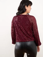 V-Neck Sequin Blouse