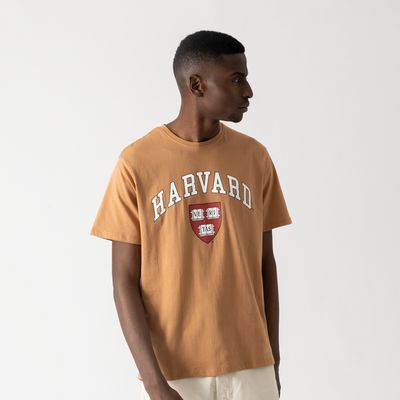 Tee Shirt Harvard Caramel