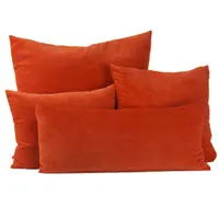 Velvet Cushions