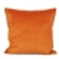 Dutch Velvet Cushions & Throw