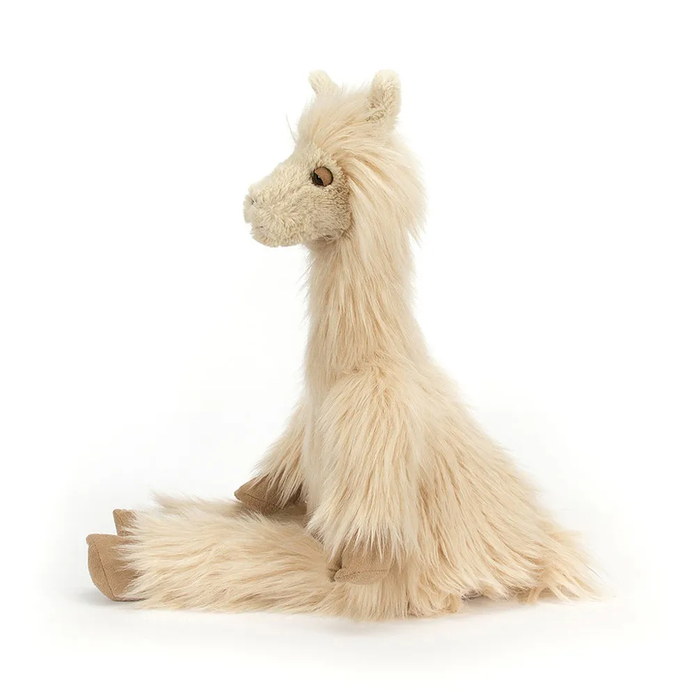 Luis Llama