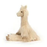 Luis Llama