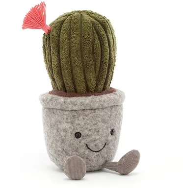 Silly Barrel Cactus