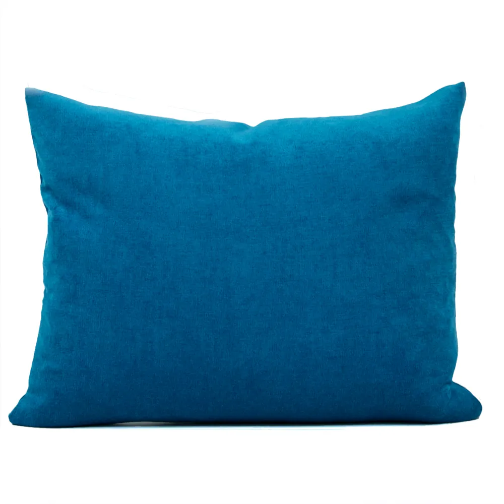 Velvet Cushions