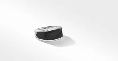 Exotic Stone Signet Ring Sterling Silver with Black Onyx