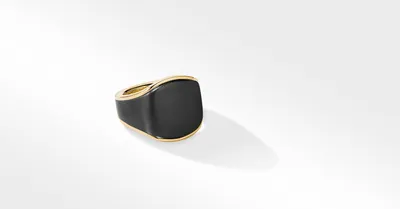 Streamline® Signet Ring 18K Yellow Gold with Black Titanium