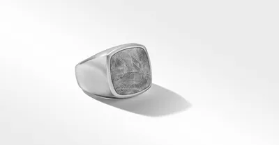 Meteorite Signet Ring Sterling Silver