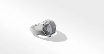 Meteorite Faceted Signet Ring Sterling Silver