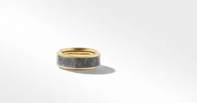 Beveled Band Ring with 18K Yellow Gold and Meteorite