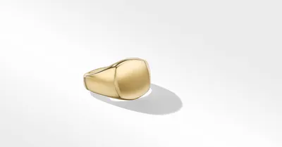 Streamline® Pinky Ring 18K Yellow Gold
