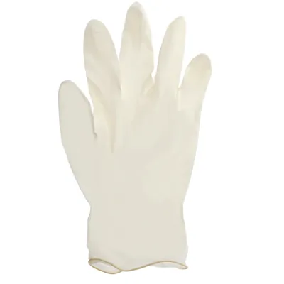 Disposable Poly Gloves 50PK - Case of 48