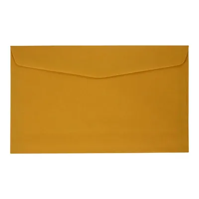 Kraft Envelopes 5.75" x 9.5", 10PK - Case of 24