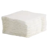 Luncheon Napkins 100PK - Case of 24