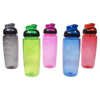 Water Bottle (Assorted Colours) - Case of 24