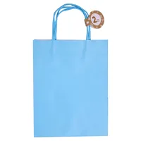 Solid Colour Kraft Paper Bags 2PK (Assorted Colours) - Case of 36