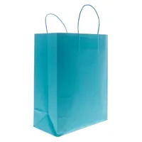 Solid Colour Kraft Paper Bags 2PK (Assorted Colours) - Case of 36