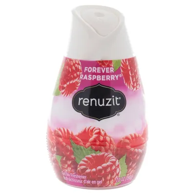 Raspberry Scent Gel Air Freshener - Case of 12