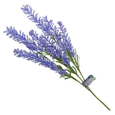 Lavender Bunch with Leaves - Case of 36