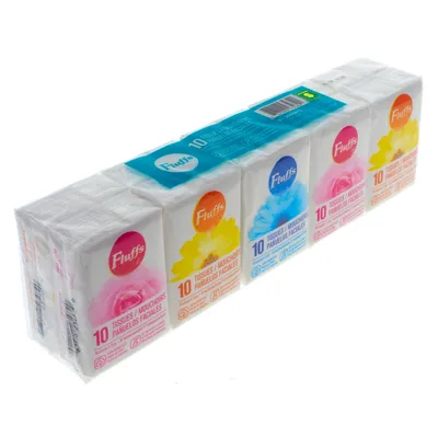 10 Tissues Pocket Size 10PK (Assorted Designs) - Case of 24