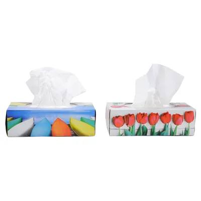 Tissues 100PK (Assorted Designs) - Case of 48