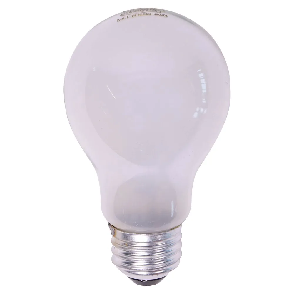 A19 100W Frosted Long Life Bulbs 2PK - Case of 24