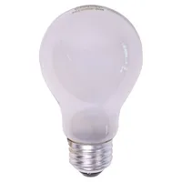 A19 100W Frosted Long Life Bulbs 2PK - Case of 24