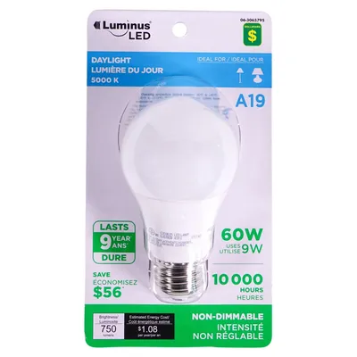 A19 60W LED Day Light bulb - Case of 18