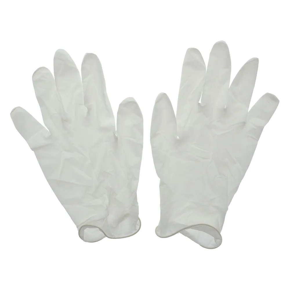 10PK Disposable Latex Gloves - Case of 24