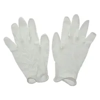 10PK Disposable Latex Gloves - Case of 24