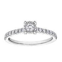 clat du Nord Engagement Ring for Woman