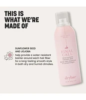 Final Call Frizz & Static Control Mist