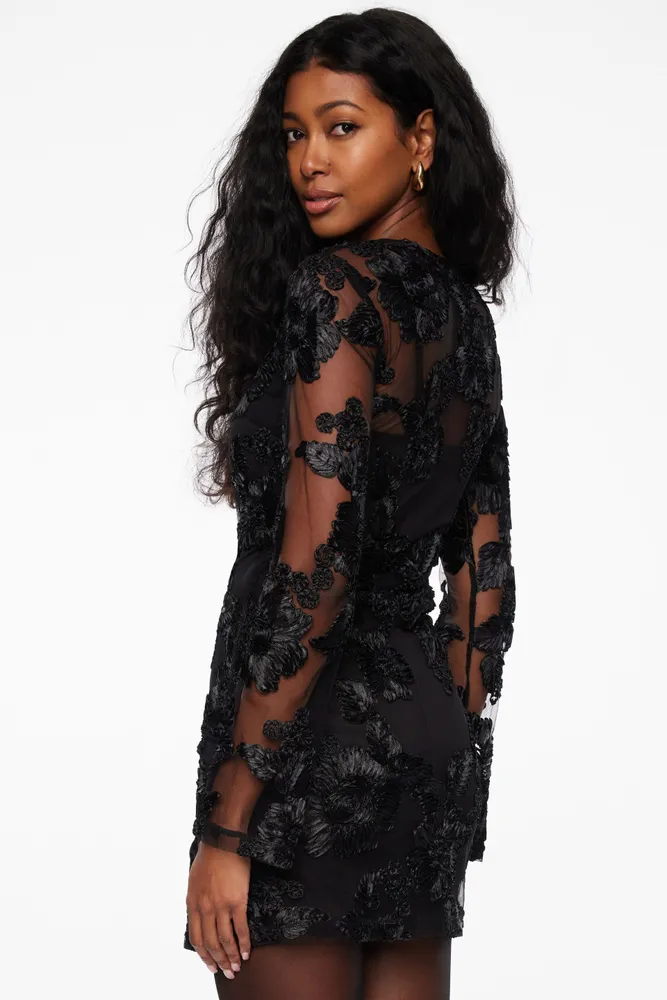 Sheer Floral Appliqué Mini Dress