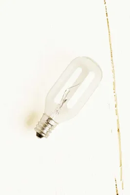 30W Replacement Light Bulb (for Aromatheraphy Salt Stone Oil Burner)