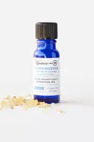 Frankincense (in Jojoba) Essential Oil