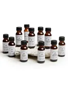 Aphrodisiac EB Fragrance Oil