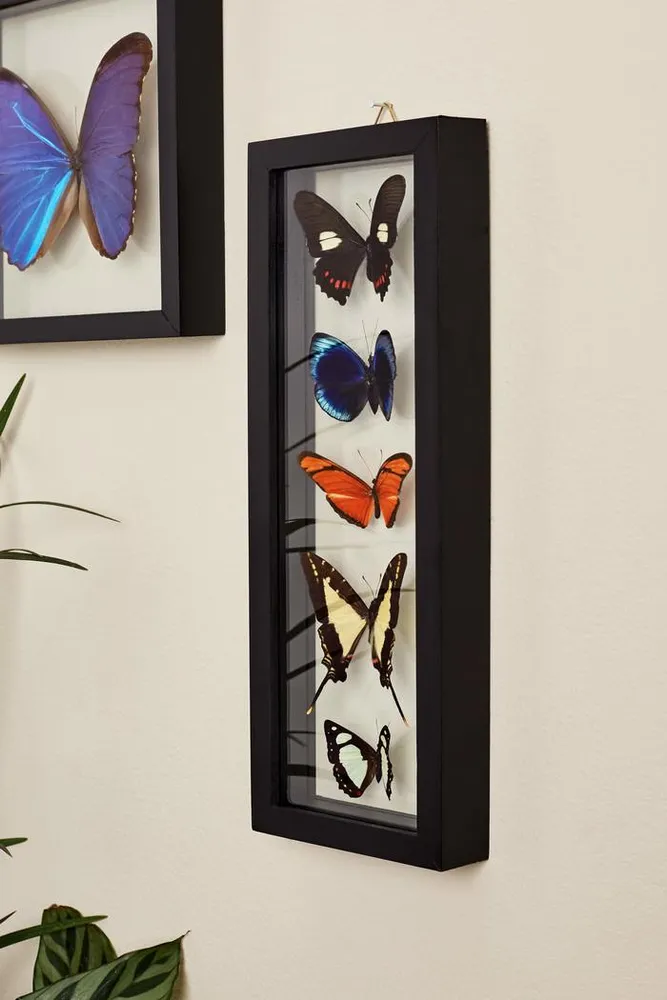 Earthbound Trading Five Butterflies in Black Frame