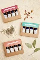 Balanced Synergistic Blends Kit