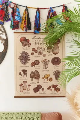 Mushrooms of the World Wall Hanging (EB Exclusive)