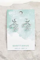 Sagittarius Earring Jackets
