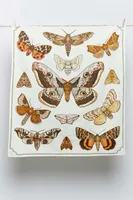 Moth Colony Mini Tapestry (EB Exclusive)