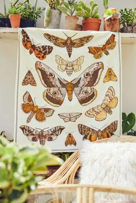 Moth Colony Mini Tapestry (EB Exclusive)