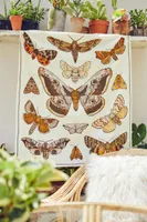 Moth Colony Mini Tapestry (EB Exclusive)