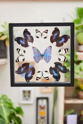 Mandala Butterfly Frame