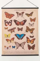 Butterflies in the World Wall Hanging (EB Exclusive)