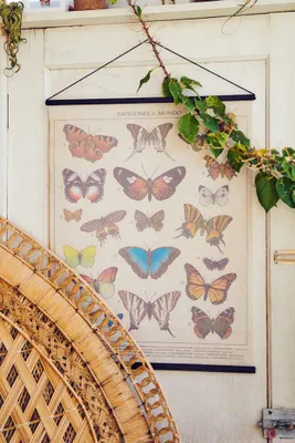 Butterflies in the World Wall Hanging (EB Exclusive)