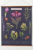 Medicinal Plants Wall Hanging (EB Exclusive)